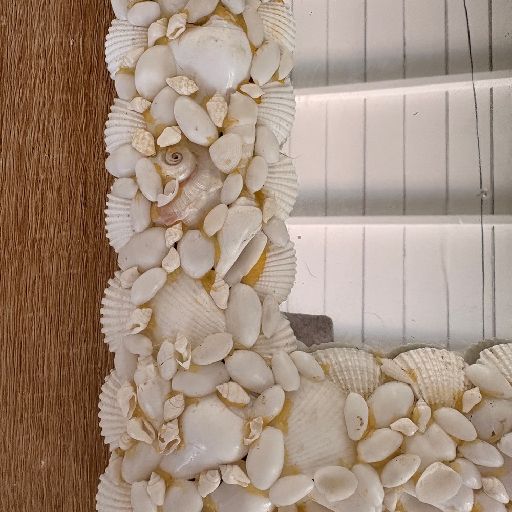 Seashell Embellished Wall Mirror - Cream - Picture 2 of 3